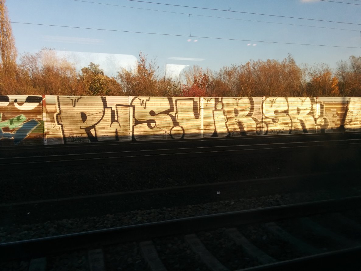 Graffiti Bombing - Photo by Suio