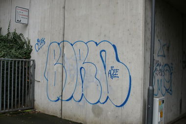 Graffiti Bombing - Photo by SuperBoy1312 - born, cpuk, acee