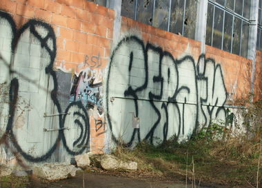 Graffiti Bombing in Frankfurt - Photo by SuperBoy1312 - efraim, frankfurt
