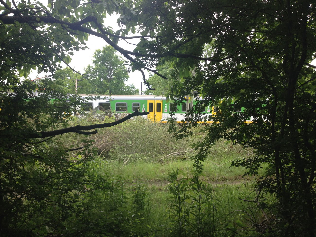 Graffiti Wall - Photo by SuperFunkyCrew