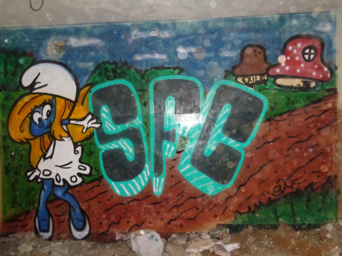 Graffiti Wall - Photo by SuperFunkyCrew - Exile, production (2014)