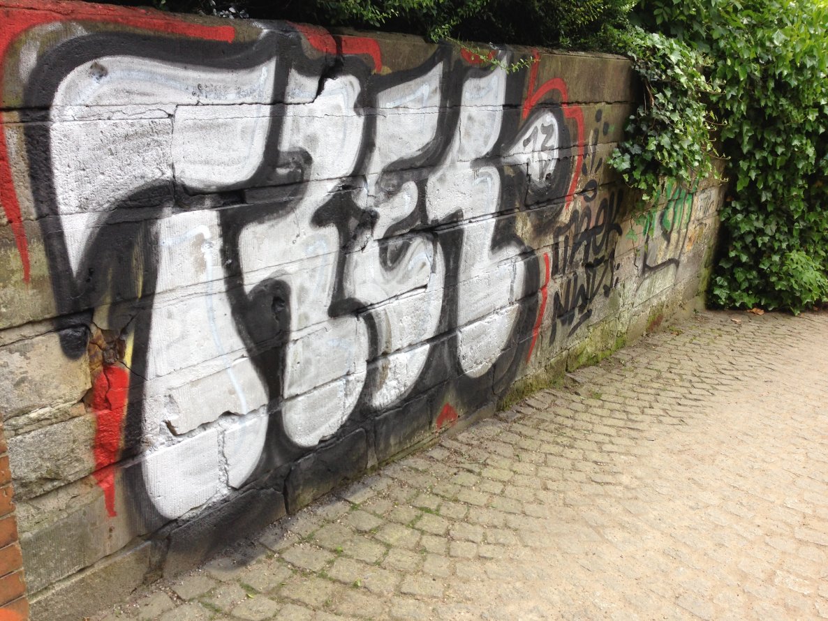 Graffiti Bombing - Photo by SuppenSoldat - Trek, Snek, Nws (2013)