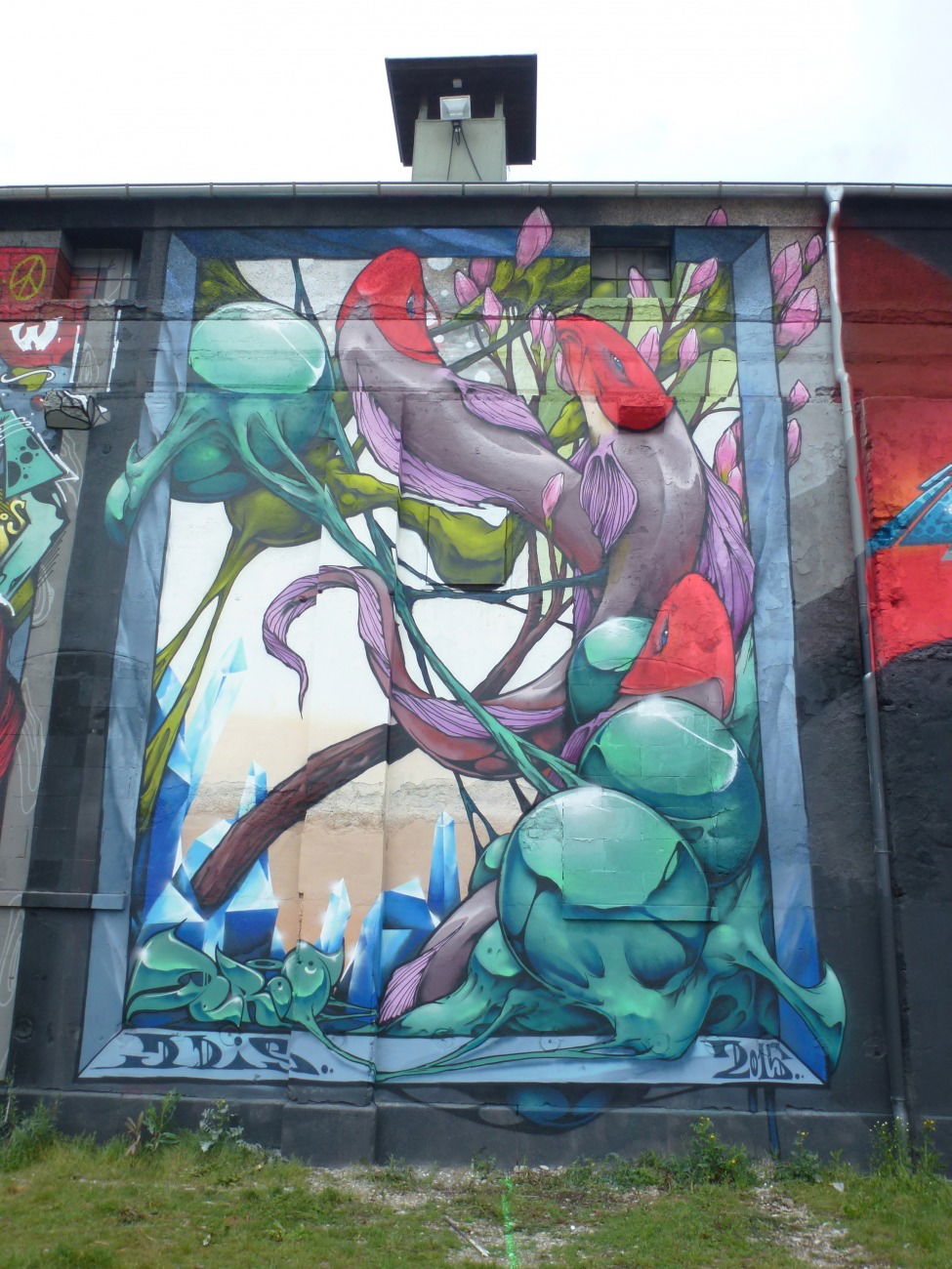 Graffiti Wall - Photo by Sven - Jeroo, deadline (2015)