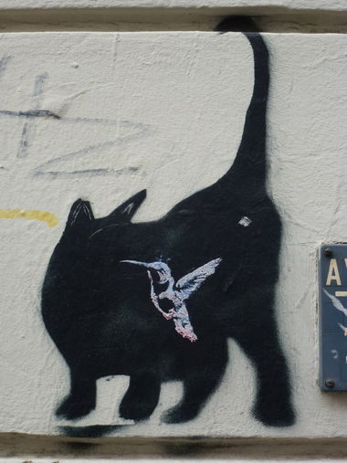 Graffiti Street Art - Photo by Sven - Stencil, Kater (2015)