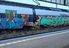 Photo #249515 by TOYFEL