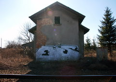 Photo #129677 by Elmooner