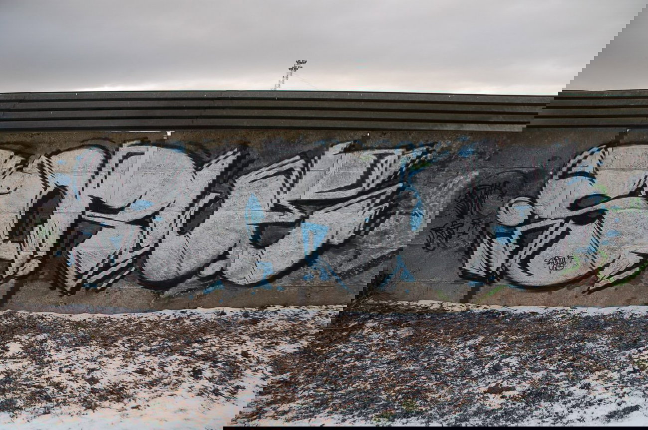 Graffiti Bombing in Przeworsk - Photo by Szejp - SARWE (2015)