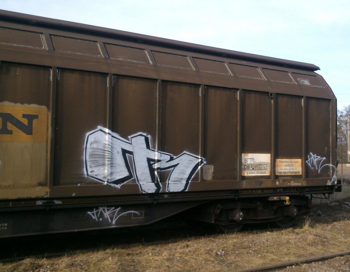 Graffiti Train - Photo by T33RAK47 (2014)