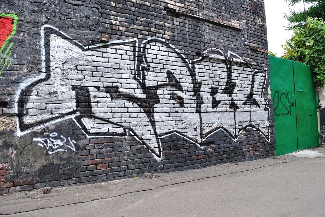 Graffiti Bombing - Photo by TABU