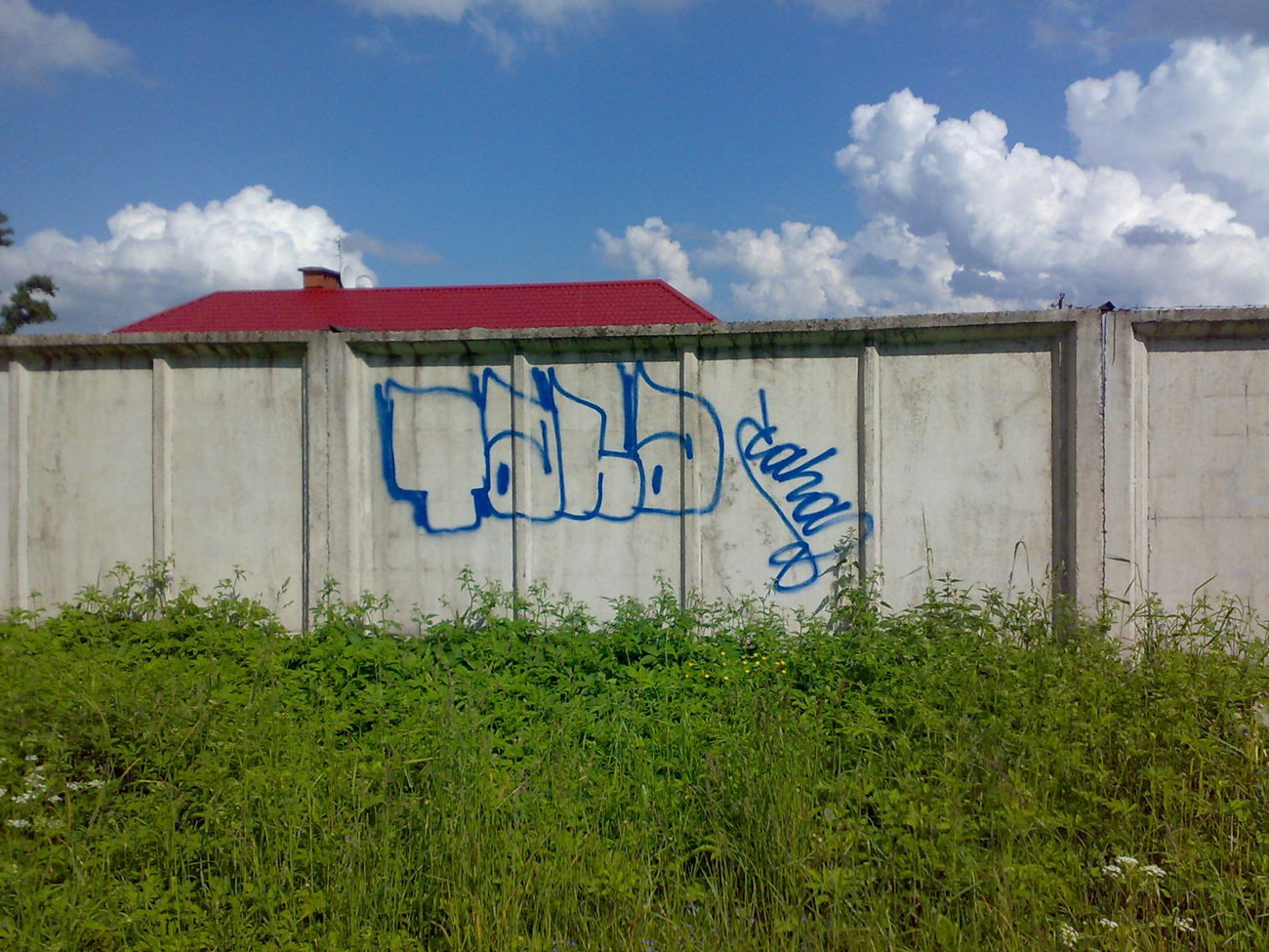 Graffiti Wall - Photo by TAHA2 - streetart, street, sprayart (2007)