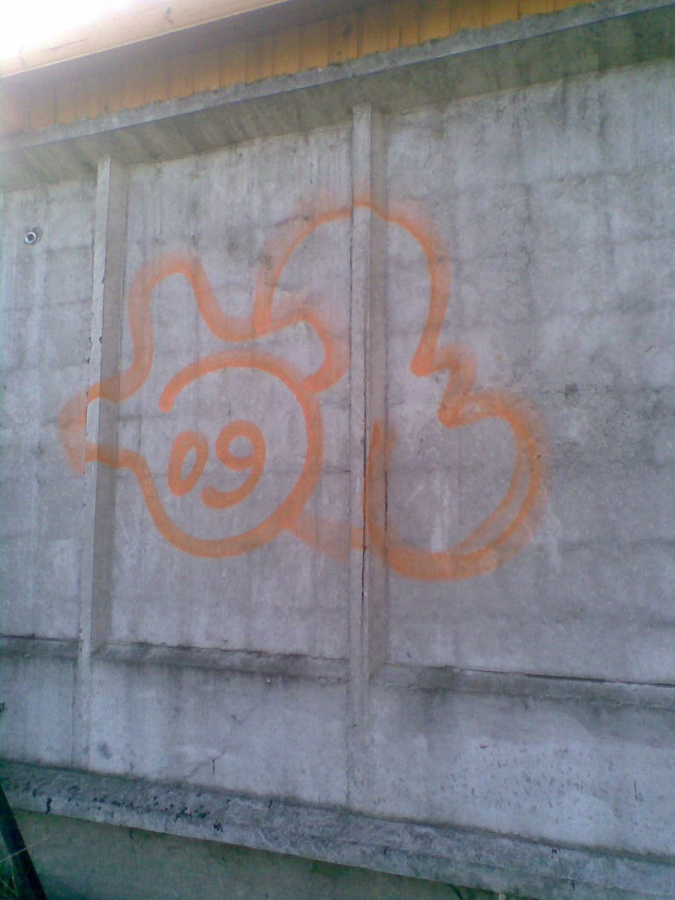 Graffiti Bombing - Photo by TAHA2 - streetart, street, sprayart (2009)