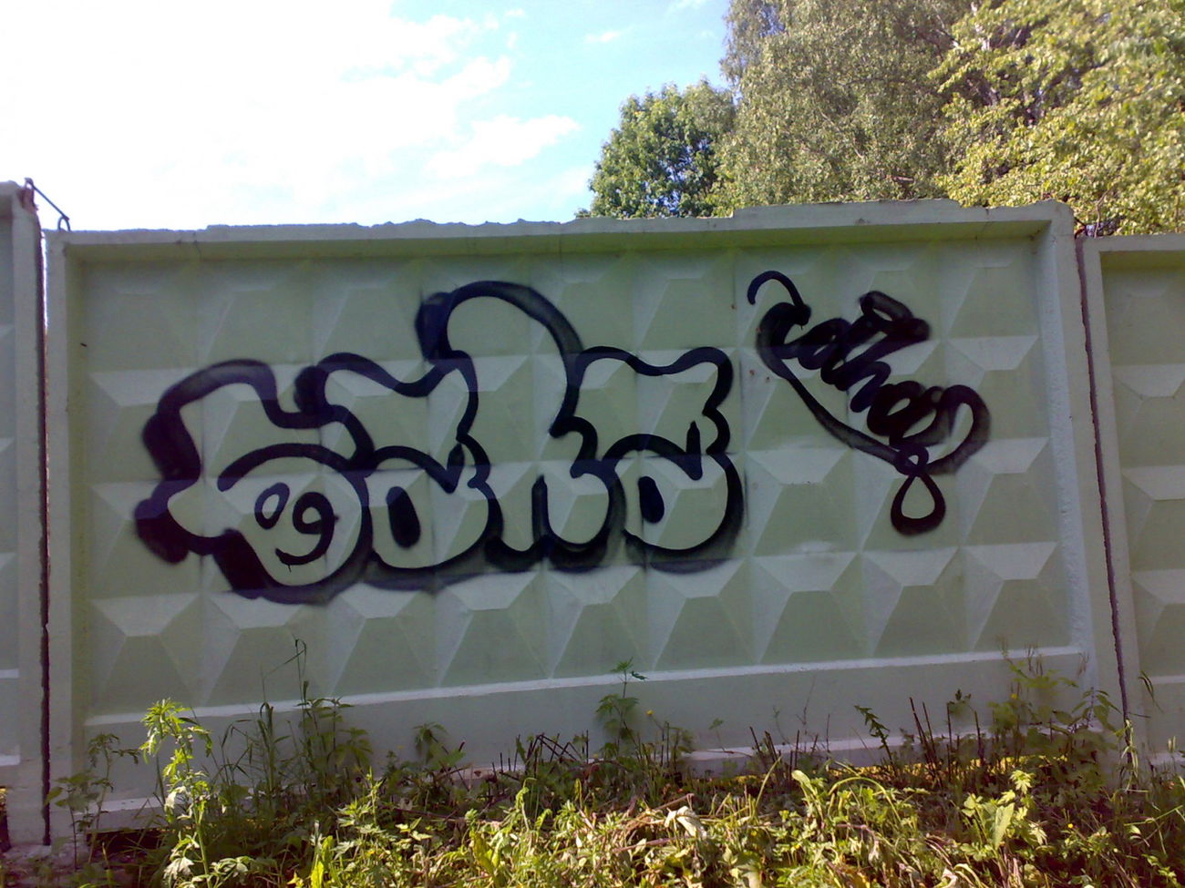 Graffiti Bombing - Photo by TAHA2 - streetart, street, sprayart (2009)