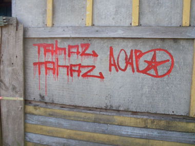 Graffiti Bombing - Photo by TAHA2 - streetart, street, sprayart (2008)