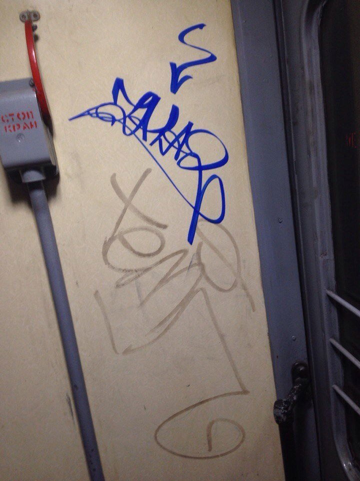 Graffiti Train - Photo by TAHA2 - streetart, street, sprayart (2016)