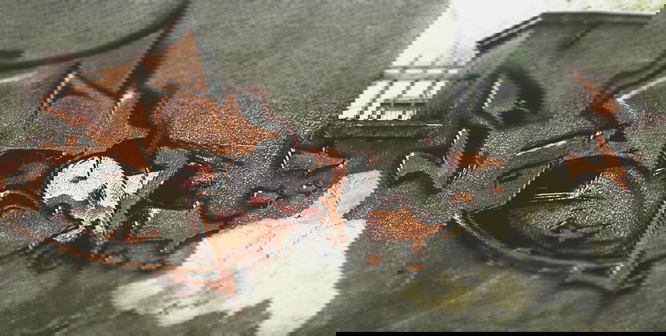 Graffiti Wall - Photo by TALIONER