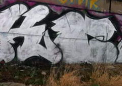 Graffiti Bombing - Photo by TAVOR