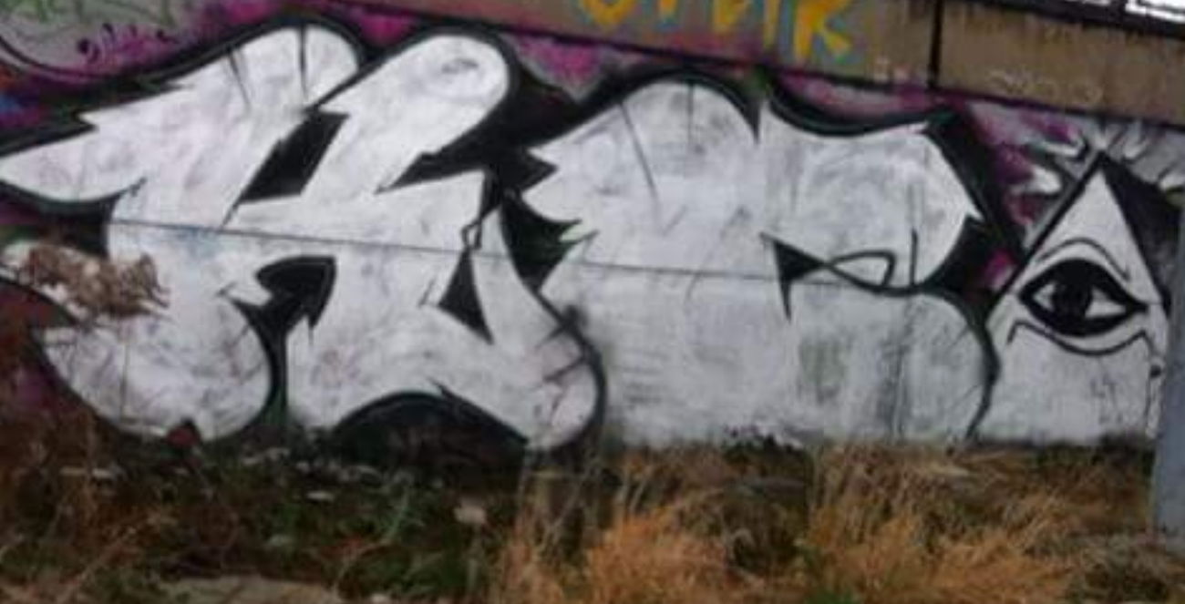 Graffiti Bombing - Photo by TAVOR