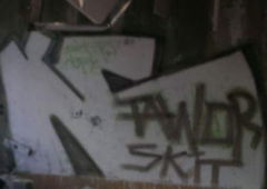 Graffiti Bombing - Photo by TAVOR