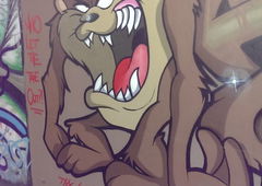 Photo #110077 by TagHagel