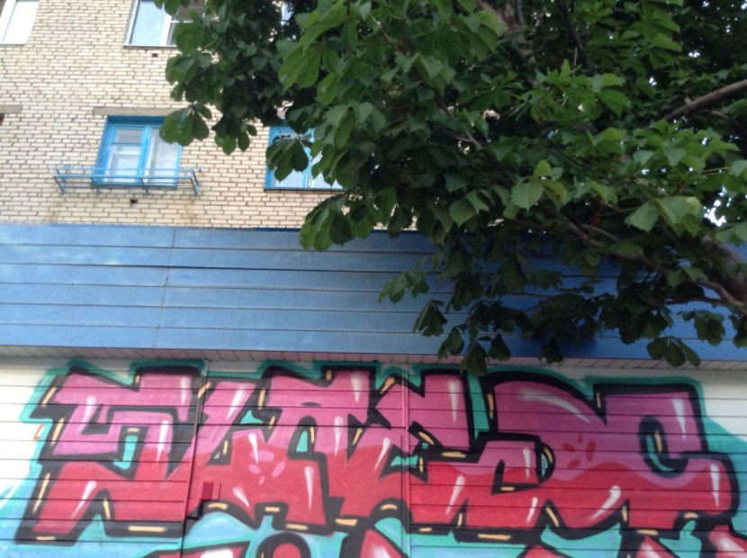 Graffiti Bombing - Photo by TBWSLAEDO - Slaedo (2013)