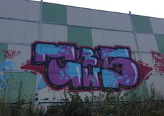 Photo #17565 by 1Roza5x