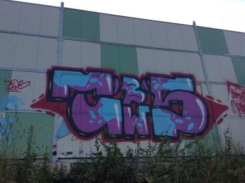 Graffiti Wall - Photo by TBWSLAEDO - TBWS (2013)