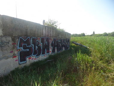 Graffiti Bombing - Photo by TBWSLAEDO - sld, ????? (2013)