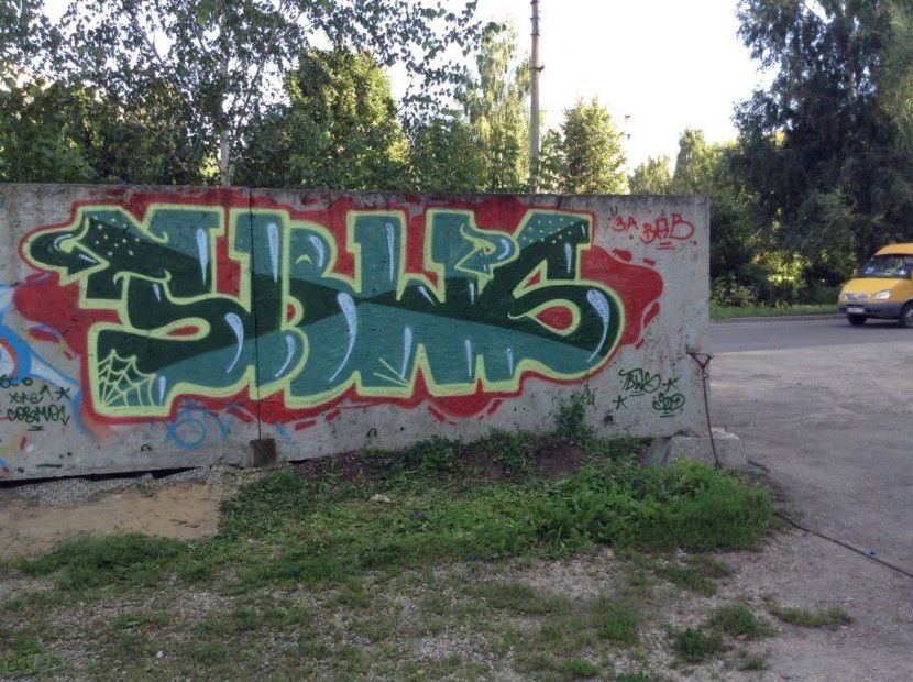 Graffiti Bombing in Novomoskovsk - Photo by TBWSLAEDO - TBWS (2013)