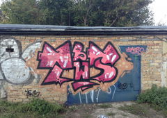 Photo #28436 by 1Roza5x