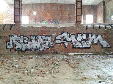 Graffiti Bombing - Photo by TBWSLAEDO - tbw, depo, crew (2013)
