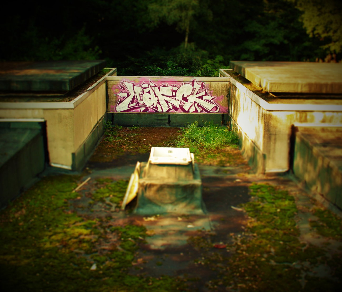 Graffiti Wall - Photo by TDCREW - MAREK, TD