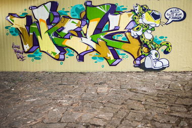 Graffiti Wall in Bamberg - Photo by TDN - Welz, Wels, Cane (2015)