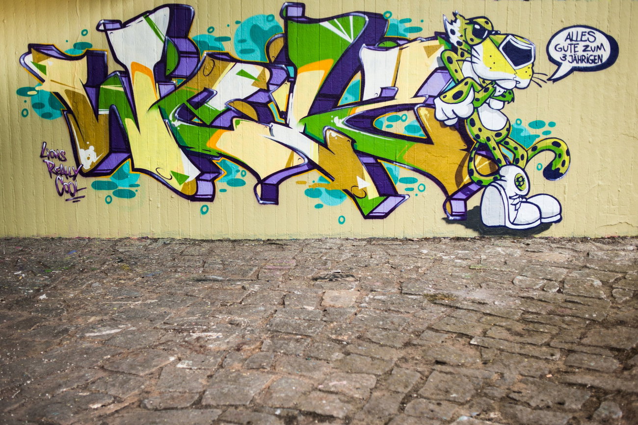 Graffiti Wall in Bamberg - Photo by TDN - Welz, Wels, Cane (2015)