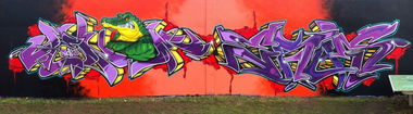 Graffiti Wall in Hersbruck - Photo by TDN - Cane, Venom, Eras (2011)