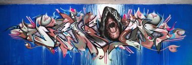 Graffiti Wall in Landsberg am Lech - Photo by TDN - Cane, Stem, Venom (2012)