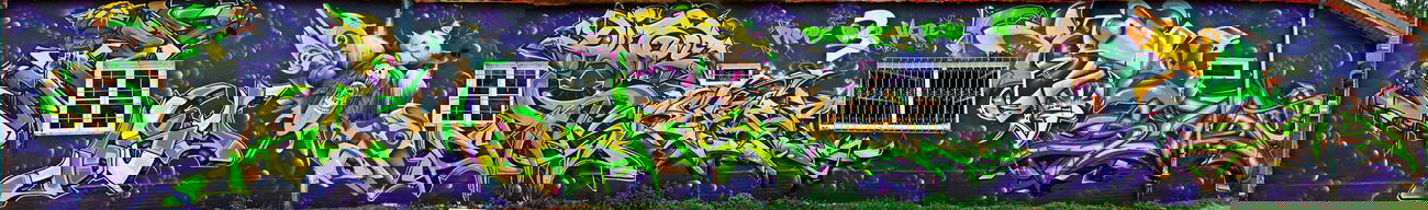 Graffiti Wall in Coburg - Photo by TDN - Venom, Cane, Jose (2013)