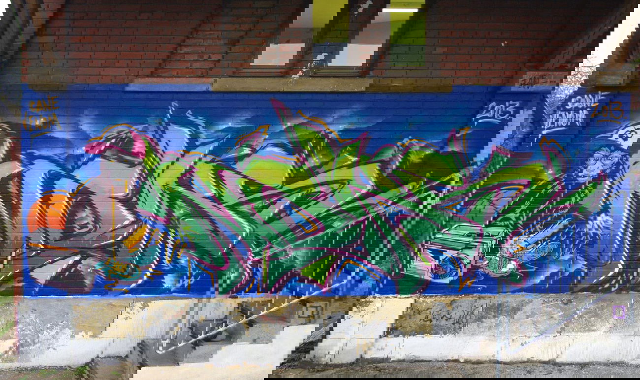 Graffiti Wall in Hirschaid - Photo by TDN - Cane, Noks, Venom (2013)