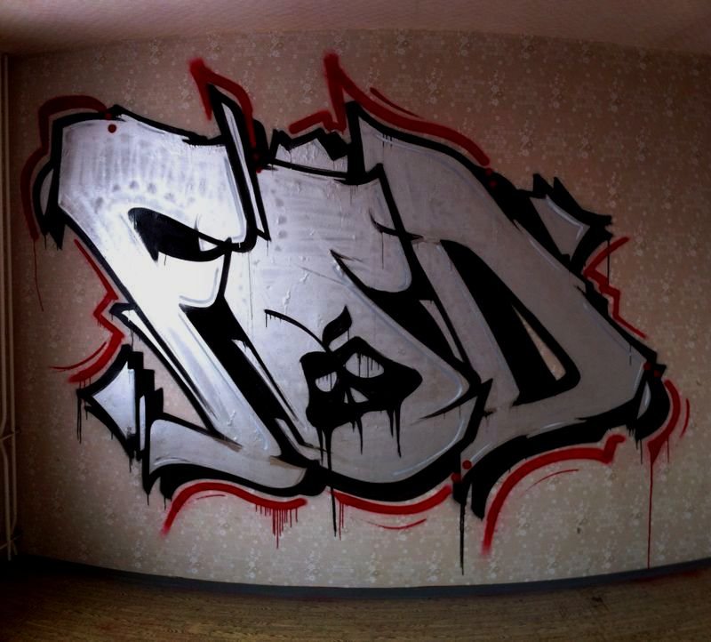 Graffiti Bombing - Photo by TDN - Cane, Venom, KTDN (2014)