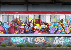 Graffiti Wall in Magdeburg - Photo by TDN - cwr, som, stem (2014)