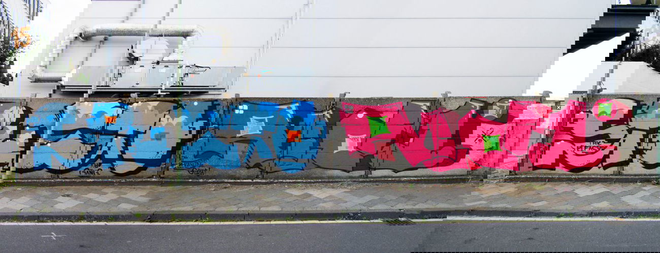 Graffiti Wall - Photo by THE_PLEASURE_GANG - pleasuregang, sputto, aldi (2012)