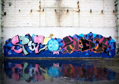 Photo #85619 by Belt