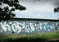 Photo #9003 by RudeBoysCrew