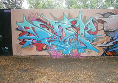 Photo #222766 by Belt