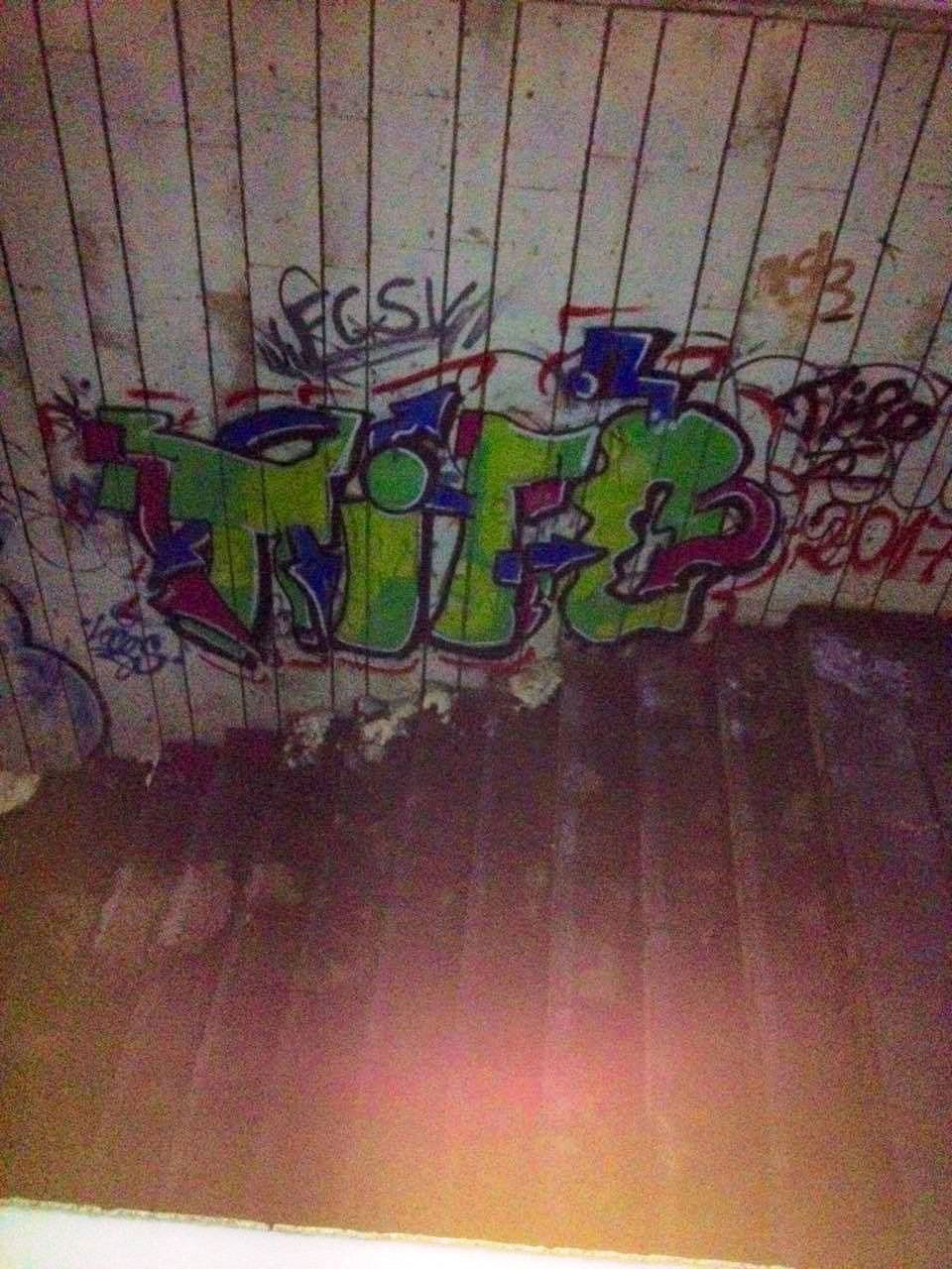 Graffiti Bombing - Photo by TIFO (2017)