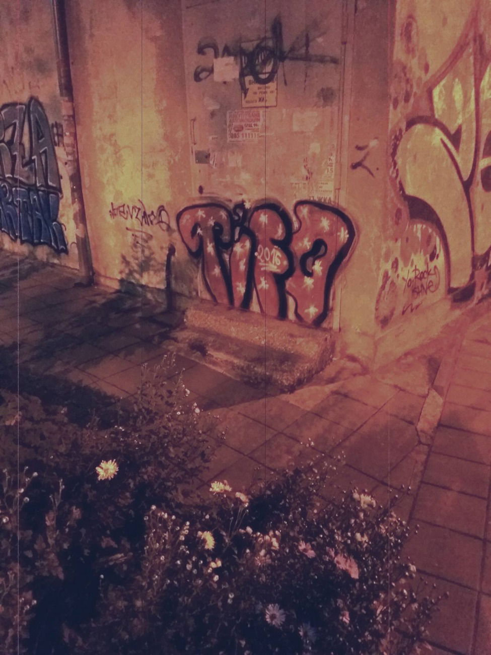 Graffiti Bombing - Photo by TIFO (2016)