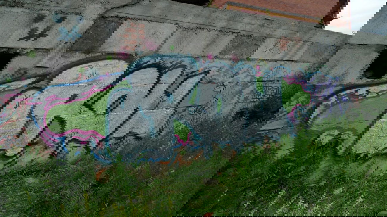 Graffiti Bombing - Photo by TIS - tis, tisone, iron (2011)