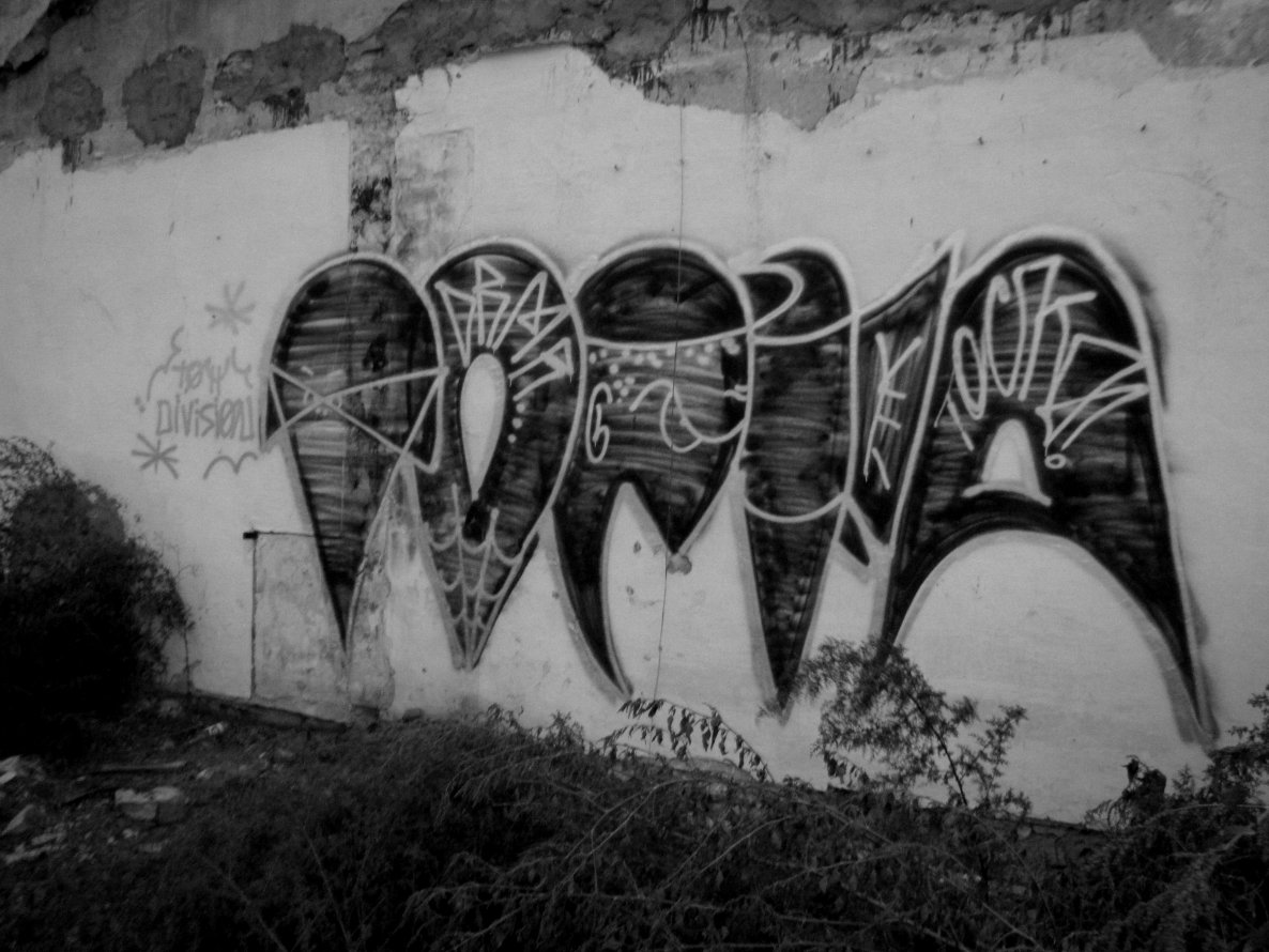 Graffiti Bombing in Novorossiysk - Photo by TOCKA - DRMR, TOCKA, TOY (2013)