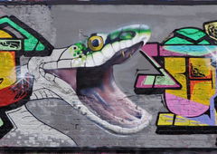 Photo #78928 by Belt