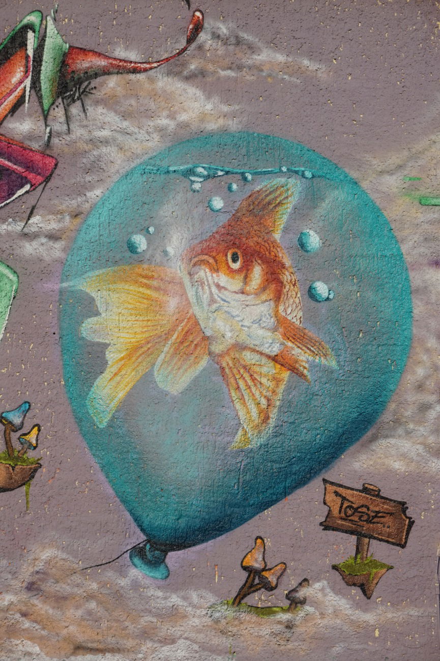 Graffiti Wall - Photo by TOSE - Tose, PAD, crew (2016)