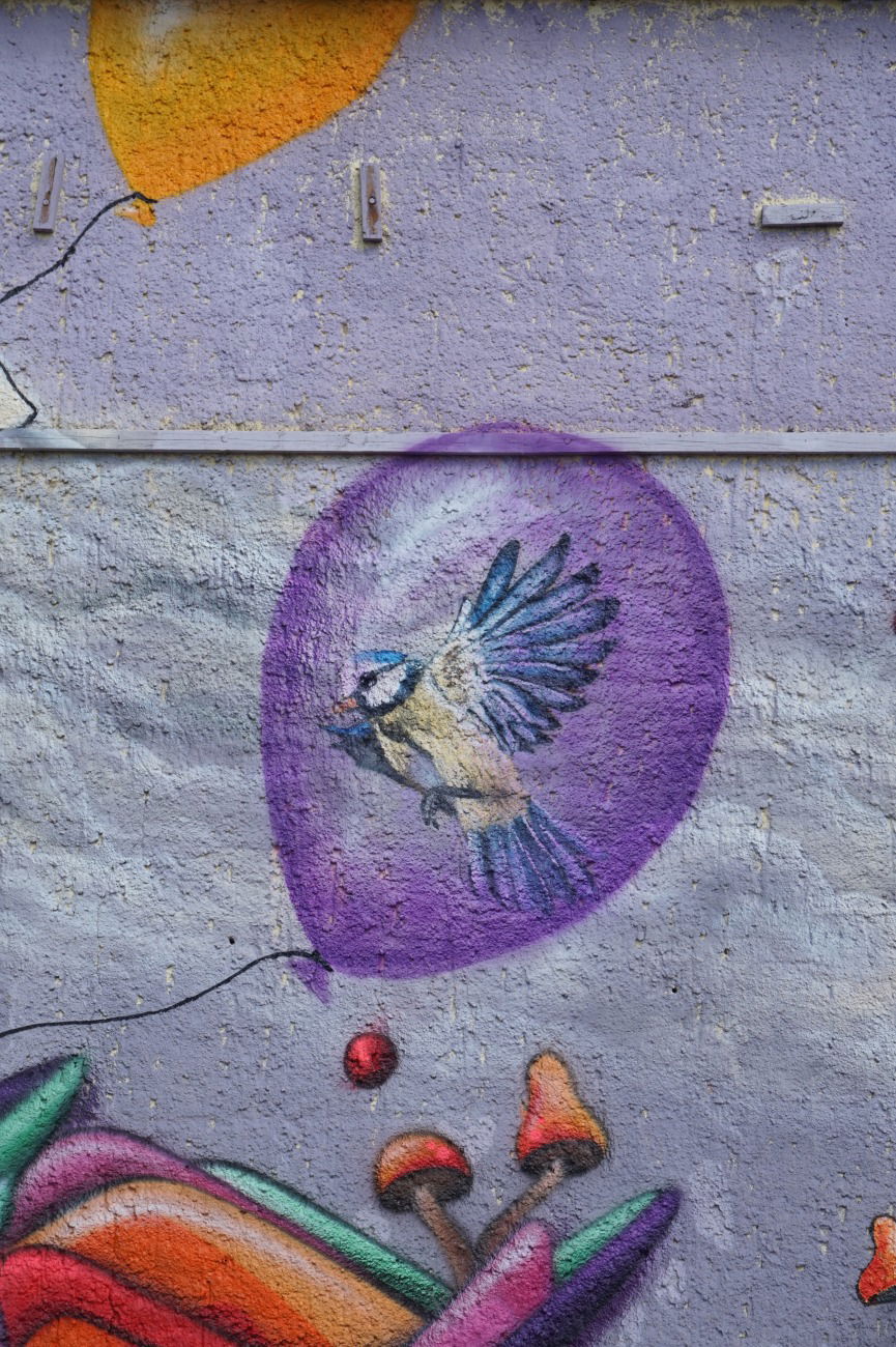 Graffiti Wall - Photo by TOSE - Tose, PAD, ballon (2016)